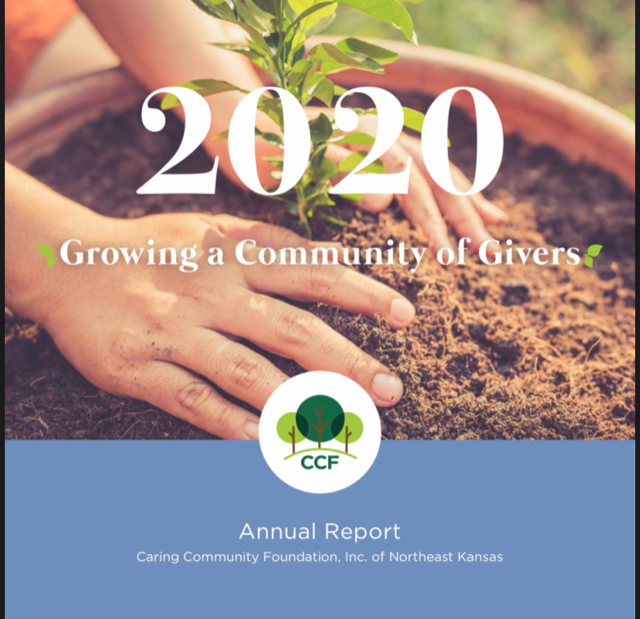 2020: Growing a Community of Givers